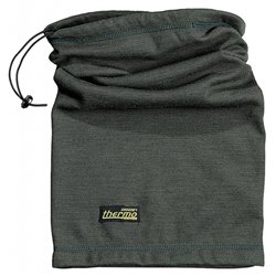 Termo-golier TS 500
